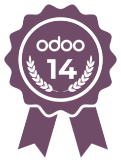 Certificación funcional de Odoo v14 (Español)